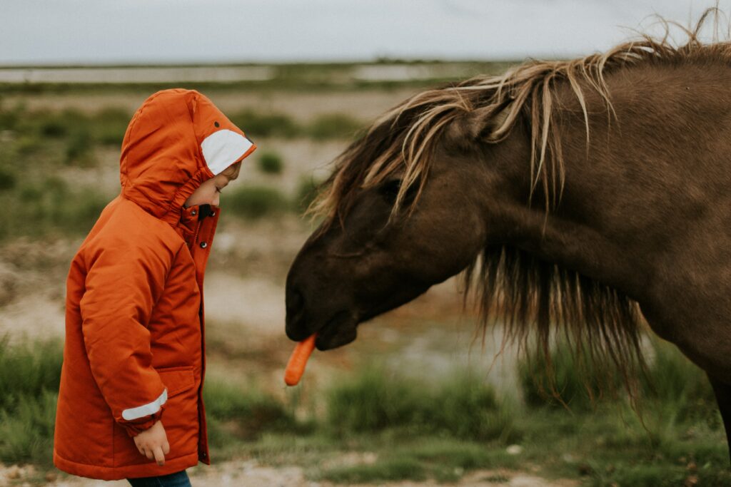 Aktivurlaub mit Kindern - unsere Ideen