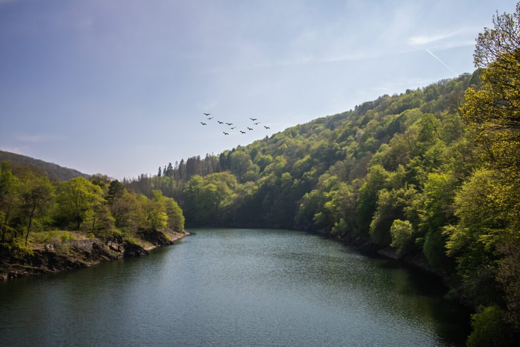 Wochenendtrip mit Kind - 8 bekannte Naturparks